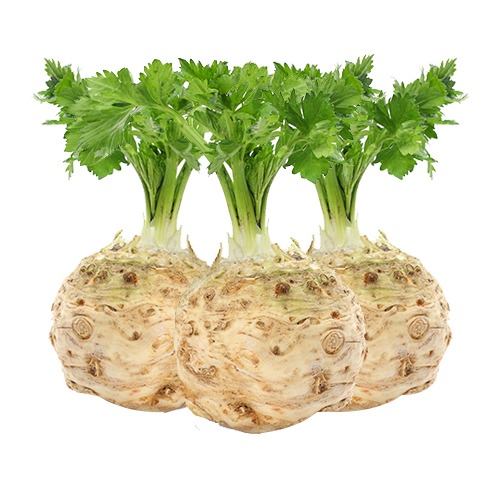 Kereviz